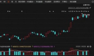 特斯拉宣布！首批特斯拉在印度交付