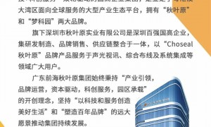 网线老化会影响网速吗？了解这些信号及时更换更稳定