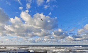 在摩洛哥，开除月薪8000的老员工，可能要赔几十万