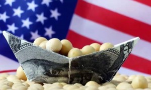 中国大豆进口数据公布，巴西躺赢！特朗普坐不住了，有求于华很快面谈