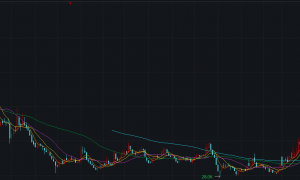 敏芯股份遭公司“元老”减持 声学传感器业务或难以兑现IPO承诺 压力传感器是否存在以价换量嫌疑？