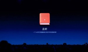 罗永浩的“科技春晚”让谁赢了？