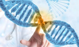 “百万一针”抗癌药有望降至万元！上海体内CAR-T新疗法临床试验在即