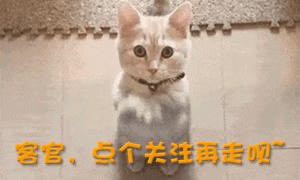 12月还没过，46岁章子怡再次官宣喜讯，离婚前说的话她做到了