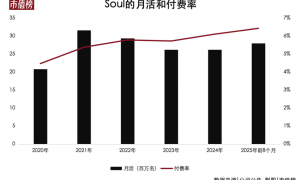 收割孤独，年入22亿：Soul的繁荣与脆弱