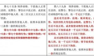 “史上最严”养犬新规今起施行 养犬人自研遛狗神器防被讹｜封面深镜