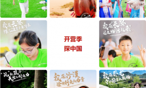 从“南极贺信”风波，看新东方转型之痛