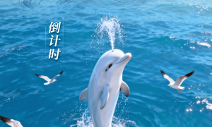 潮起海棠湾，共赴蔚蓝约！“行进的海岸线”海南站倒计时1天