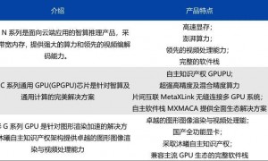 H200的“放”与“限”：中国AI算力代差中何以破局？